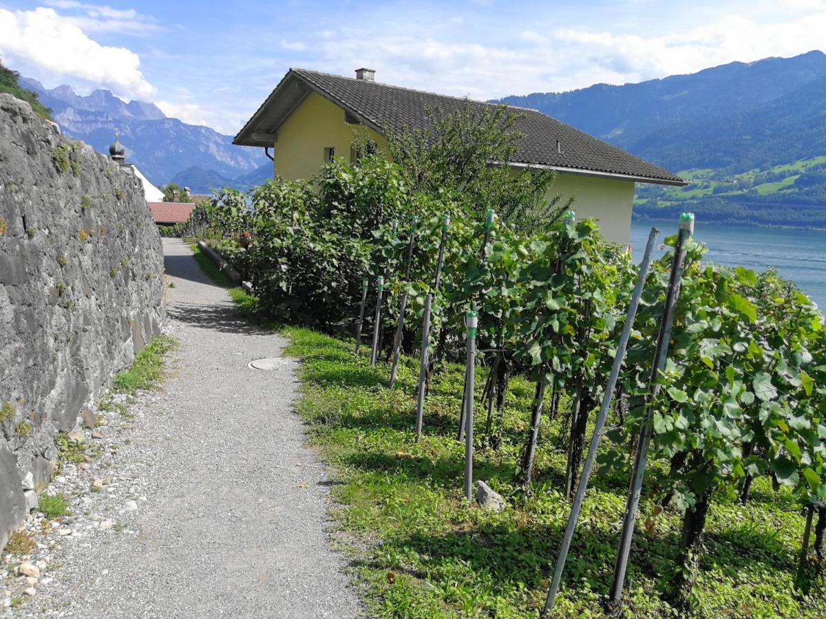 Haus Buenten Quinten 외부 사진