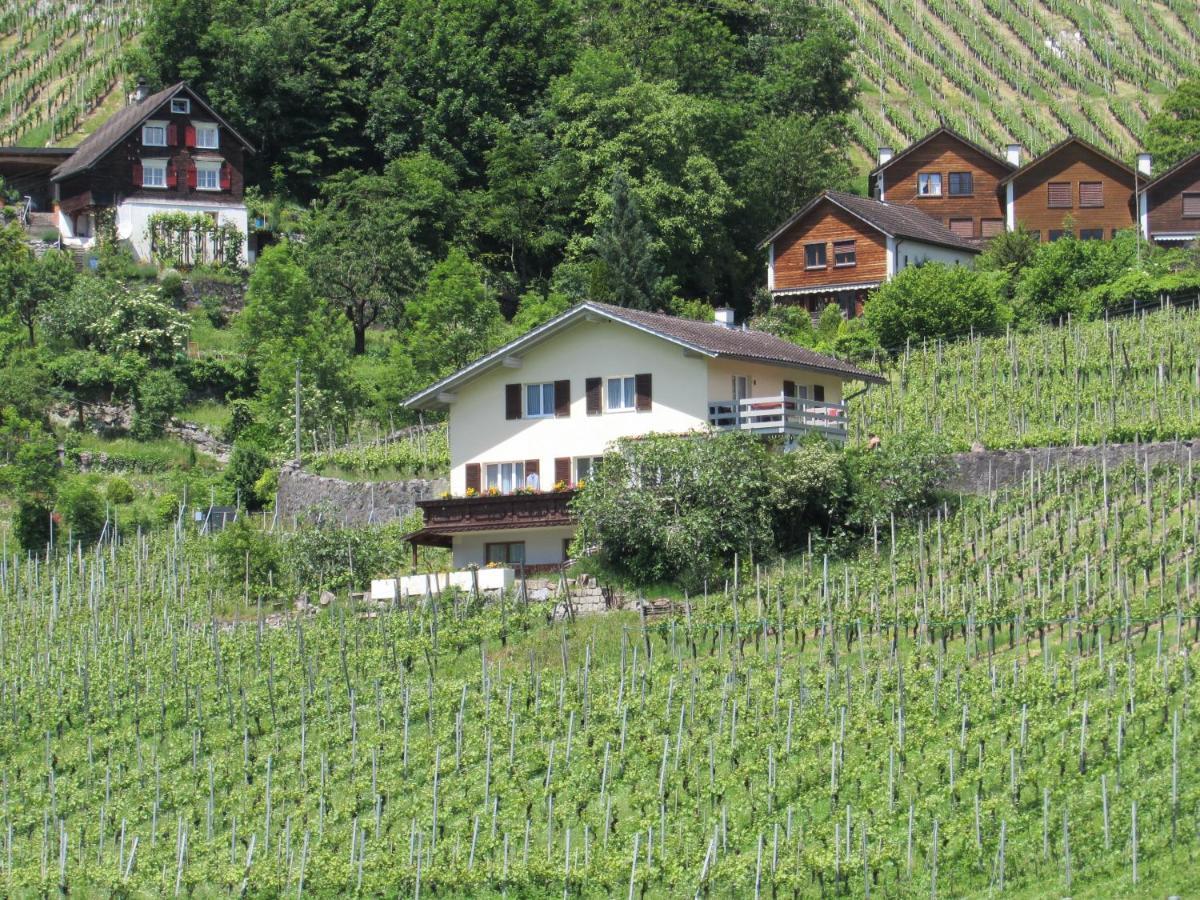 Haus Buenten Quinten 외부 사진